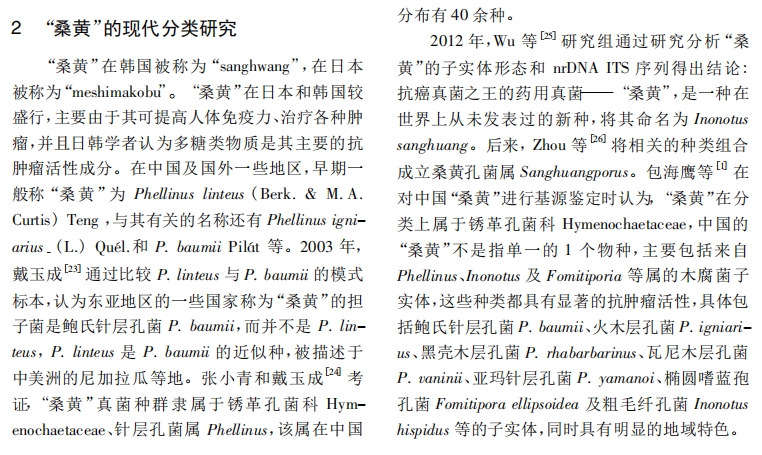 桑黄的分类研究.jpg