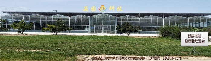 智能控制桑黄栽培温室700-204.jpg